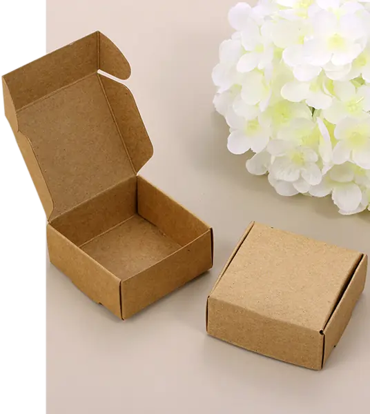 customized brown kraft boxes