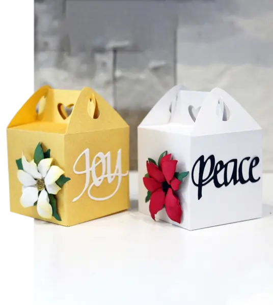 White Gable Packaging Boxes