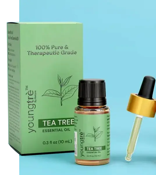 essential oil packaging box