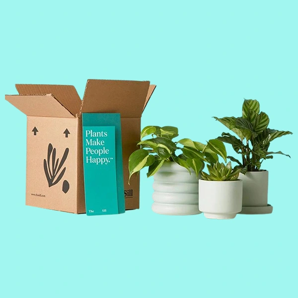 customized plant packaging boxes