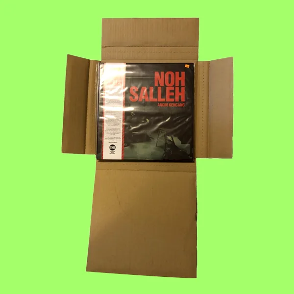 vinyl record mailers