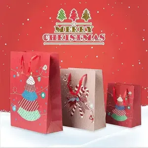 Christmas Gift Bag