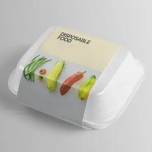 disposable food container